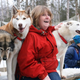 Illustration for article titled Iditarod Dog Race Moves 225 Miles North In Search Of Snow
